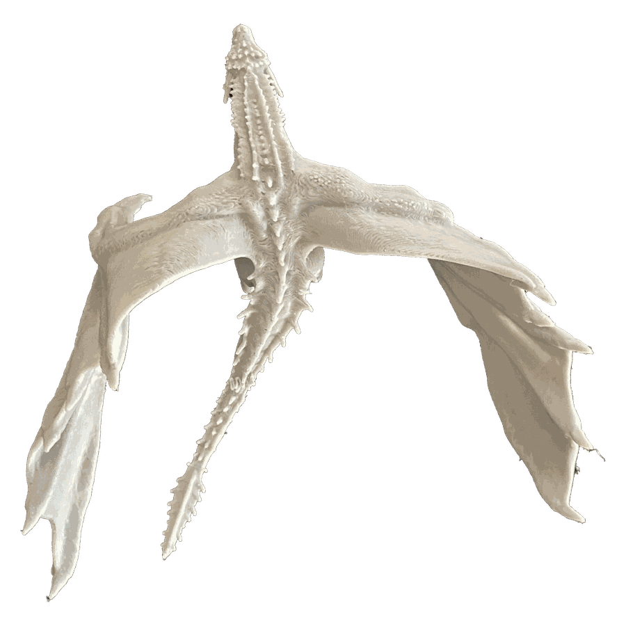 Epic Dragon — 3D printed toy from Eli Print Shop